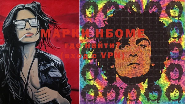 дмт Кинешма