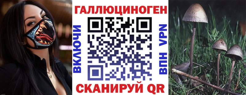 Псилоцибиновые грибы прущие грибы  Купить где  Устюжна 